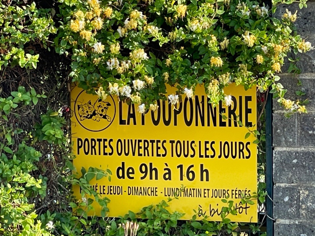 La Pouponnerie, Elevage Du Pre Moussey - Chiot disponible  - Epagneul nain Continental (Papillon)