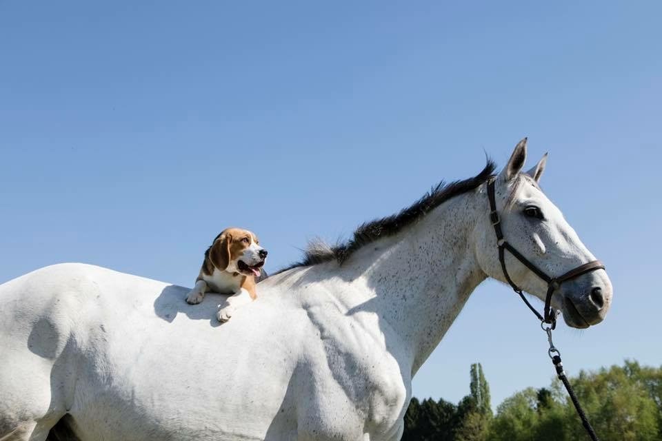 Nill s Du pré moussey