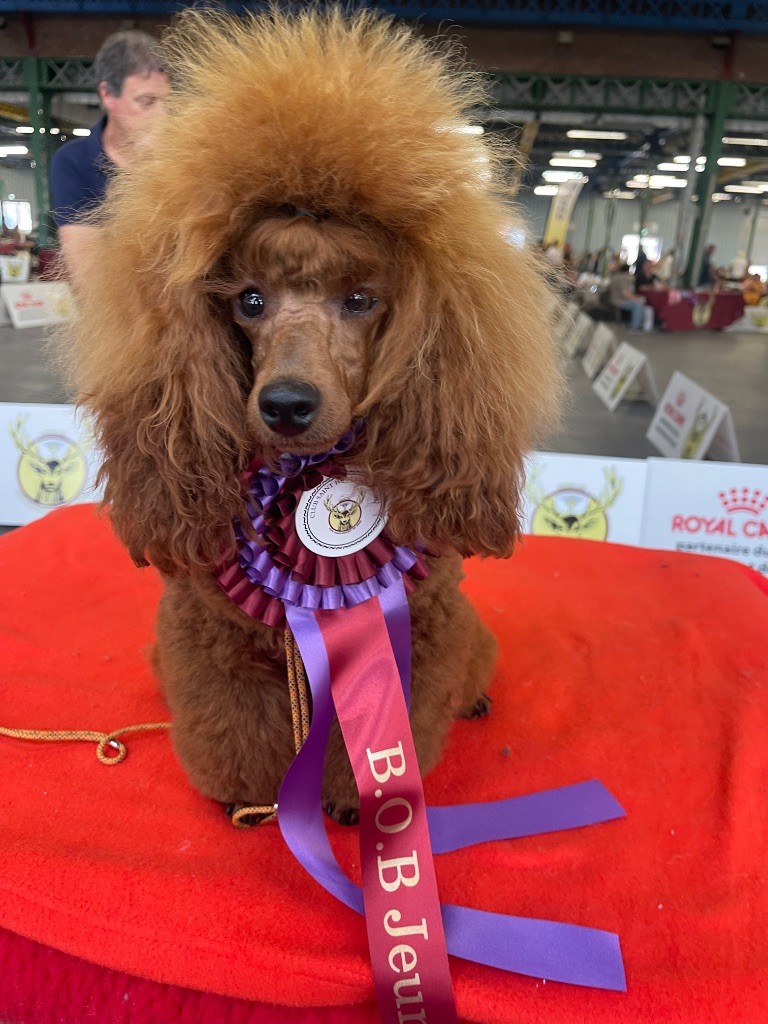 Vahiné Du pré moussey