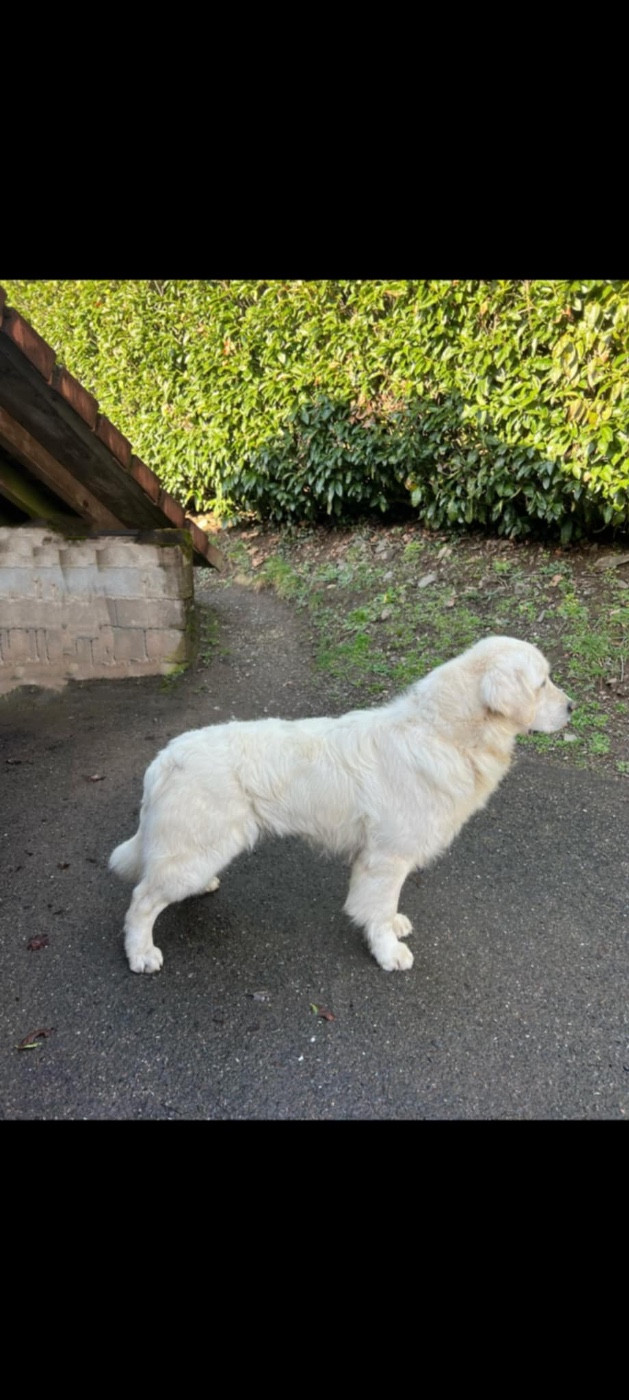 Urano de la colline d’eole