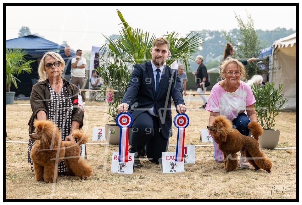 Du pré moussey - 2 eme meilleur élevage de France 2026
